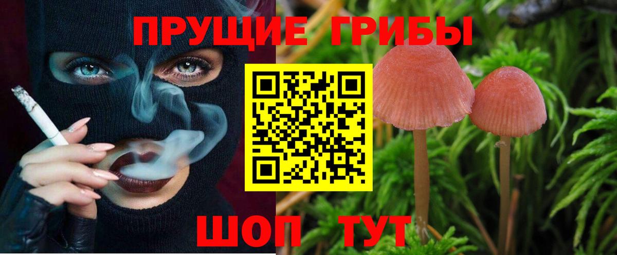 Махачкала  Псилоцибиновые грибы мицелий  Вход с VPN 